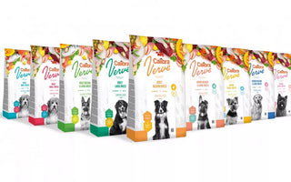 Verve Grain Free Dog Food