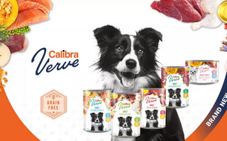 New Calibra Dog Verve canned food