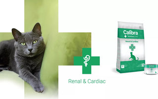 Calibra VD Cat Renal & Cardiac for cats