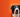 How To Change Your Dog's Food