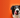 How To Change Your Dog's Food