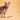 Sensitive Stomach in Cats: Common Triggers and The Best Diets for Your Cat's Health