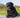 Senior Labrador sat outside