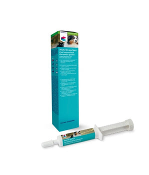 CVET Pet Intestinal Formula Paste