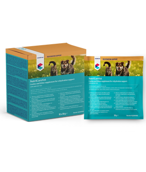 CVET Oral Rehydration Sachets 30g 10pk